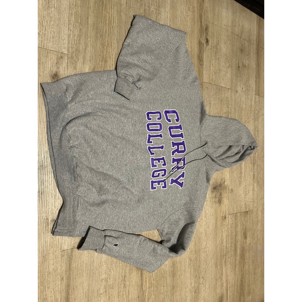 Champion Curry College Hoodie Mens Large Gray Purple Pullover Sweatshirt Boston